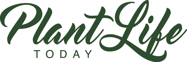 Plant Life Today logo